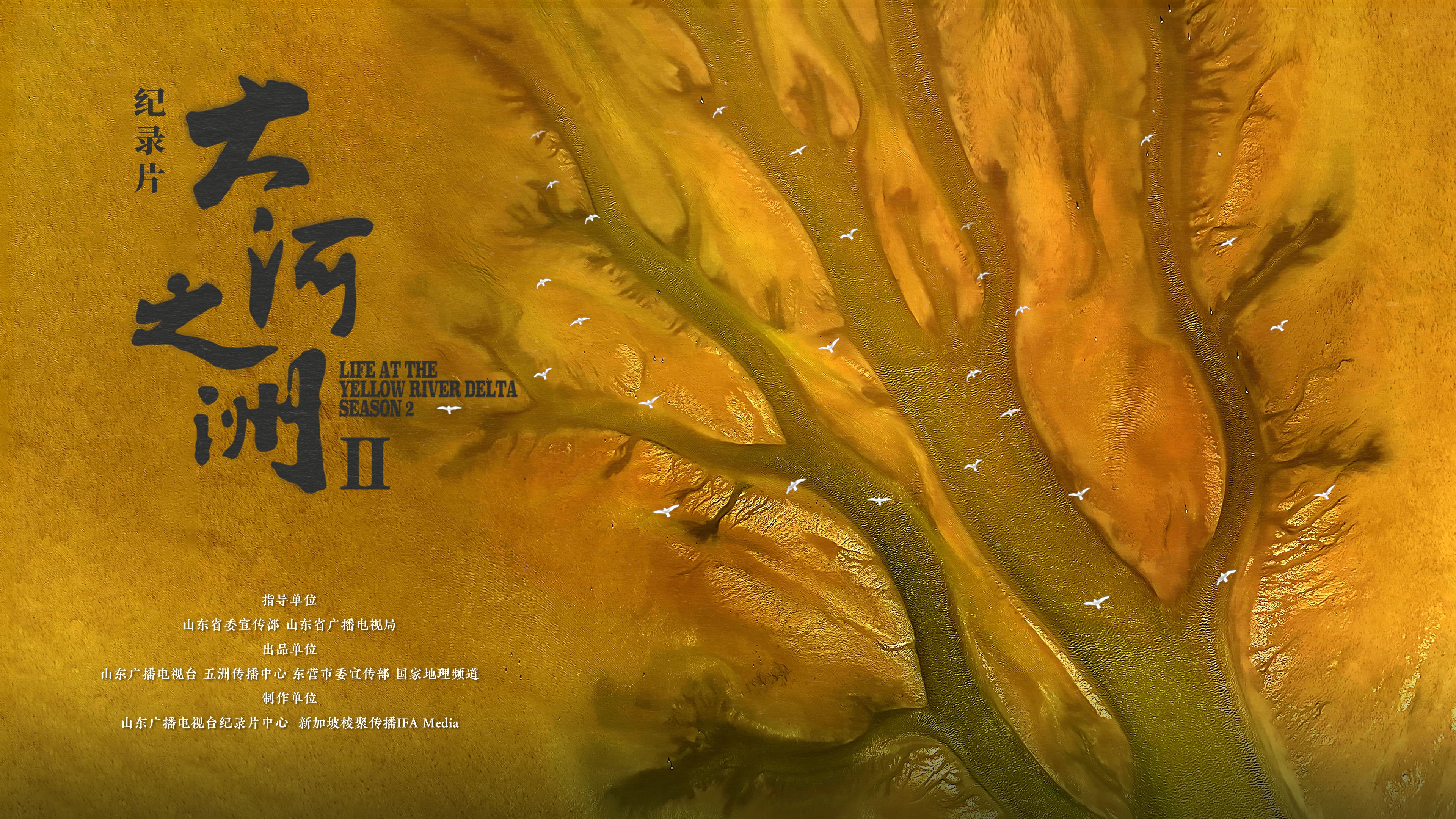 文化新观察|中国纪录片探索高质量发展