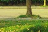 新闻记者个人年度工作总结(合集四篇)