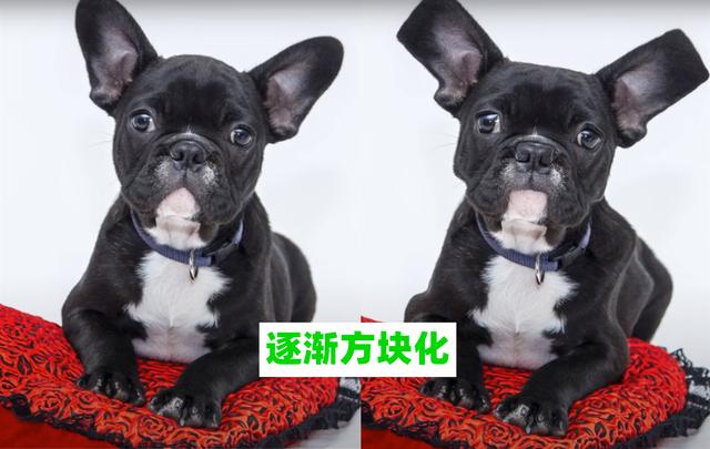 “没光追咋办”我的世界：P图大佬出手了，这才是“恐怖”矿道