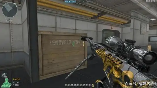 战龙系列武器_穿越火线赤焰盘龙图片_龙系列皮肤版武器