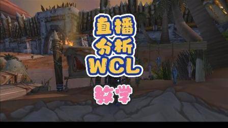 在线分析wcl和配装指引 巫妖王之怒 魔兽世界 暗牧