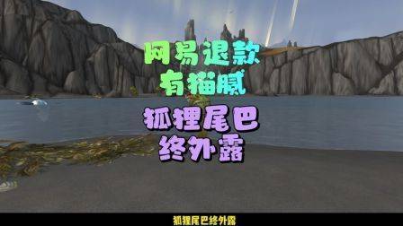 网易退款真的是依托答辩，魔兽世界怀旧服，网易暴雪