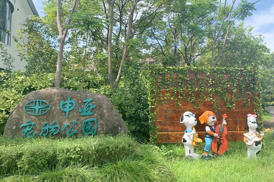 金汇镇区位优势_金汇路附近买游戏机的店_金汇镇生态环境