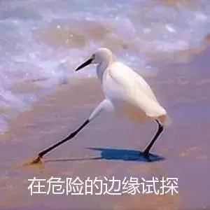 为了抓拍"发梢飘起",情侣爬上铁轨,瞬间被火车掀翻