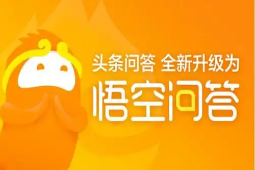知识问答网站你常用的是哪几个？
