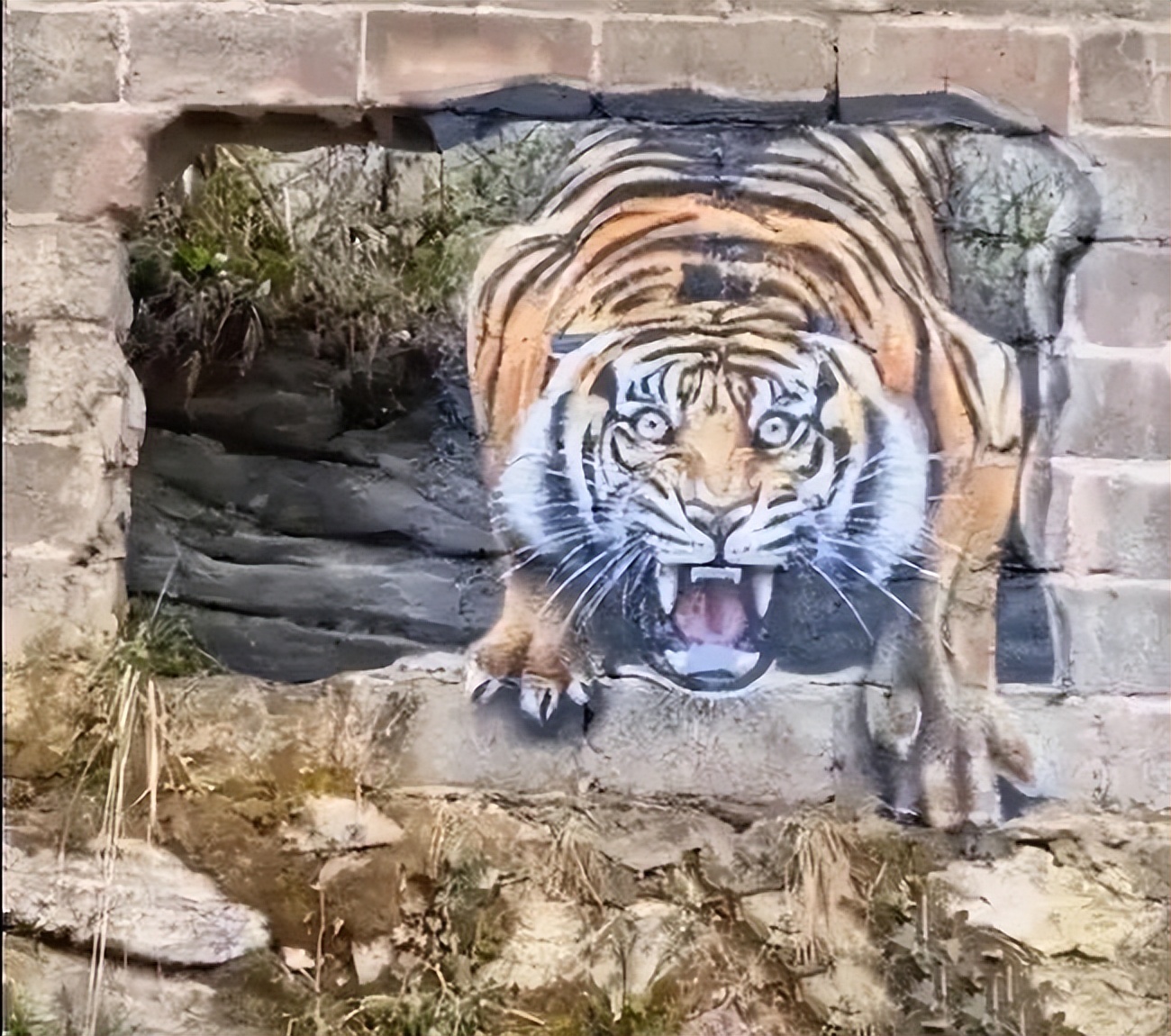 动态邪图芒果_中国后进式邪恶动态图_前入式邪恶张动态gi吧