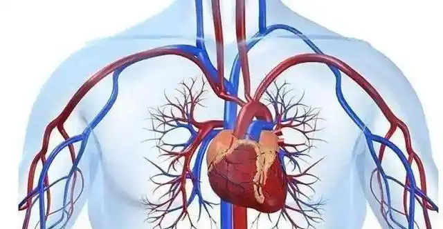 子弹打中人真实图片_子弹的照片_子弹真实