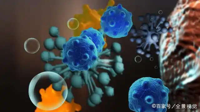 现实中会不会有丧尸_会丧尸现实有中国人吗_丧尸现实中可能吗