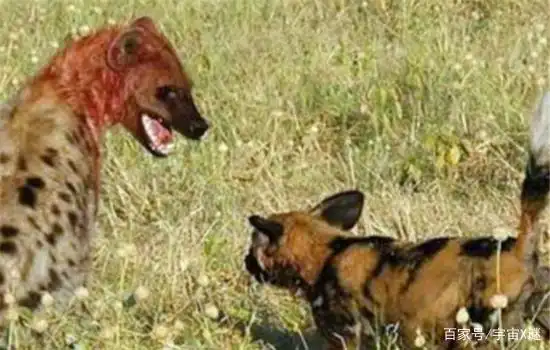 丧尸现实中可能吗_现实中会不会有丧尸_会丧尸现实有中国人吗