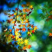 手游怎么都自动战斗_手游都是自动打有什么意思_没有自动战斗的手游