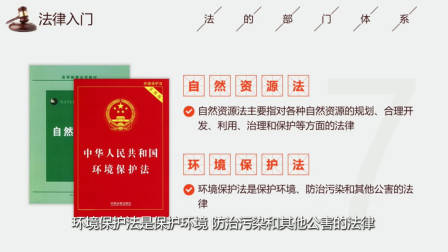 生活中的法律智慧，法律入门：自然资源与环境保护法，刑法，诉讼法与非诉讼程序法