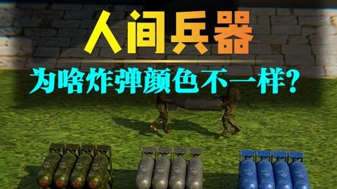 二战期间,为什么炸弹要涂不同的颜色? - 二战期间,为什么炸弹要涂不同的颜色?