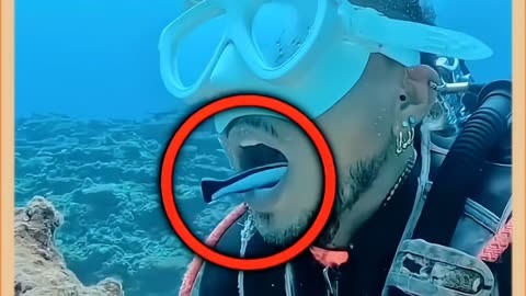 什么鱼还会给人类刷牙?