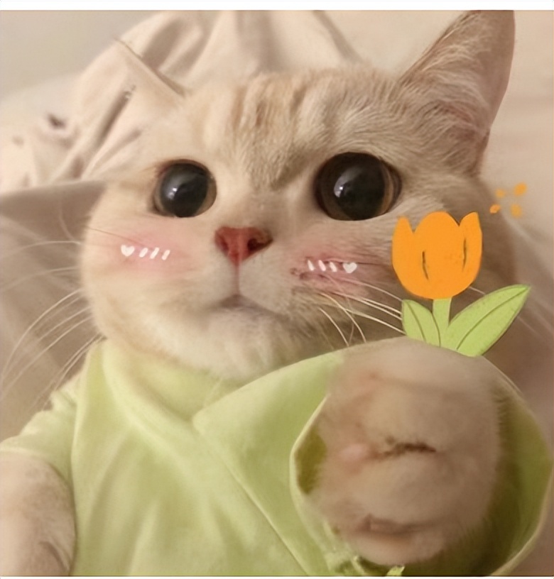 地下城与勇士游戏登录不上去_腾讯游戏安全中心打击黑产工作室_DNF手游开挂封禁10年