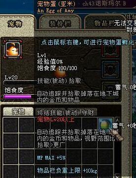 dnf宠物哈艮地_星光独角兽紫息毒龙黑暗艺术家回忆_地下城与勇士老版本宠物盘点