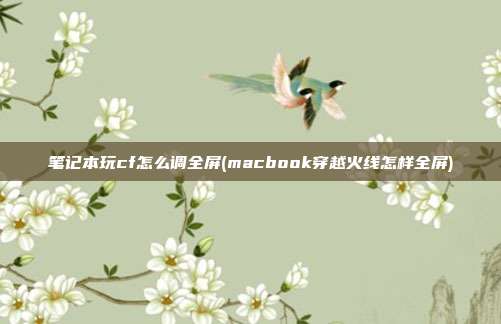 笔记本玩cf怎么调全屏(macbook穿越火线怎样全屏)