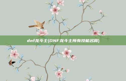 dnf龙斗士(DNF龙斗士所有技能名称)