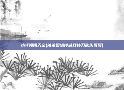 dnf海阔天空(弟弟因输掉游戏持刀砍伤哥哥)