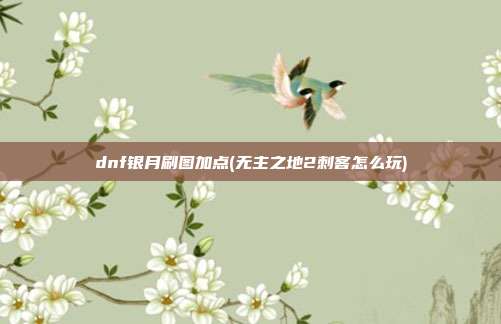 dnf银月刷图加点(无主之地2刺客怎么玩)