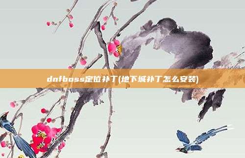 dnfboss定位补丁(地下城补丁怎么安装)