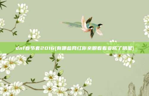 dnf春节套2016(有哪些网红你亲眼看着变成了明星)