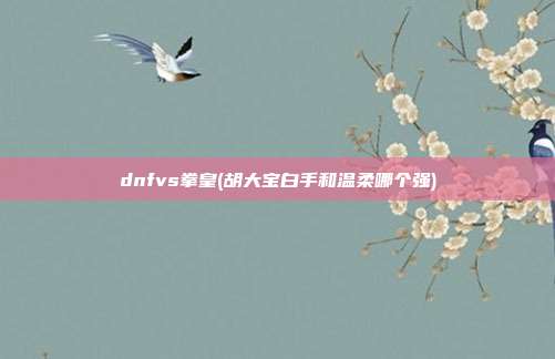 dnfvs拳皇(胡大宝白手和温柔哪个强)