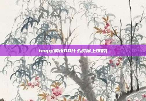 tmqq(腾讯QQ什么时候上市的)