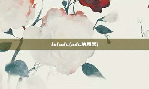 loladc(adc的意思)