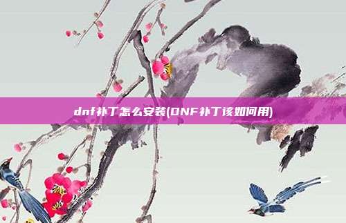 dnf补丁怎么安装(DNF补丁该如何用)