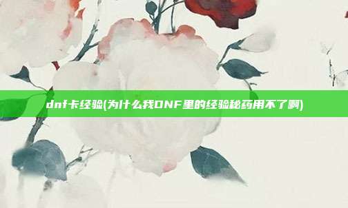 dnf卡经验(为什么我DNF里的经验秘药用不了啊)