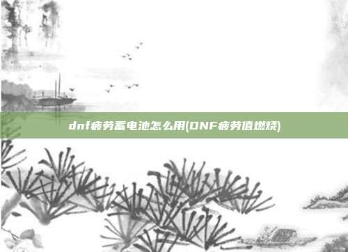 dnf疲劳蓄电池怎么用(DNF疲劳值燃烧)