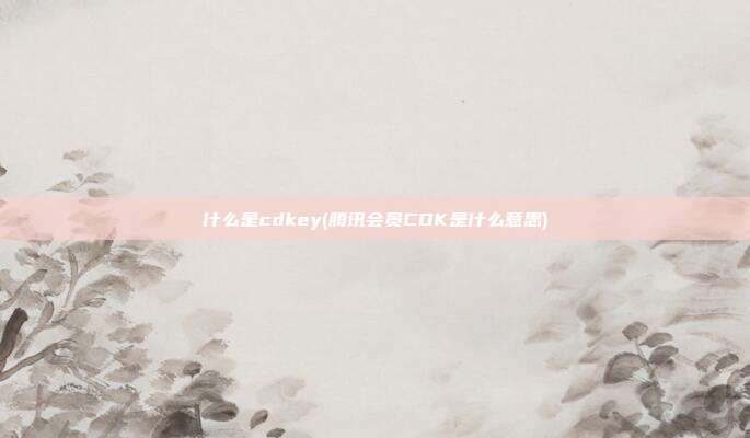 什么是cdkey(腾讯会员CDK是什么意思)