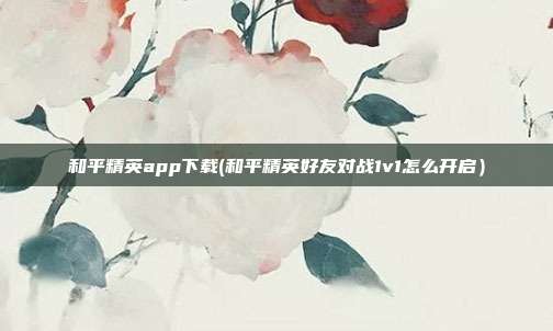 和平精英app下载(和平精英好友对战1v1怎么开启）