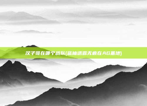 汉子哥在哪个战队(蓝柚透露无痕在AG基地)