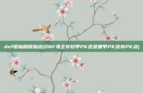 dnf驱魔刷图加点(DNF毒王穿轻甲PK还是重甲PK还有PK点)