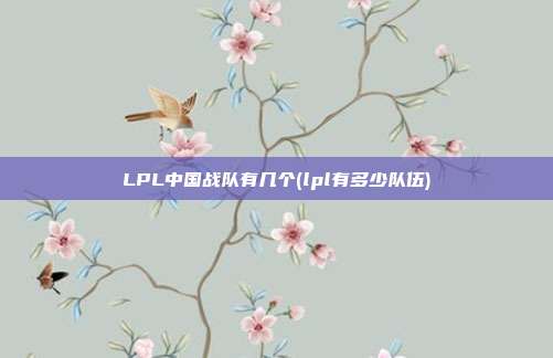 LPL中国战队有几个(lpl有多少队伍)