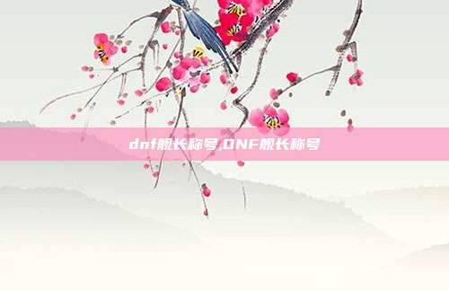 dnf舰长称号,DNF舰长称号