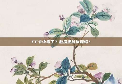 CF卡中毒了？数据还能恢复吗？