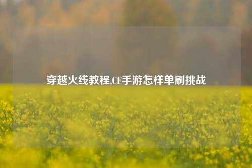 穿越火线教程,CF手游怎样单刷挑战