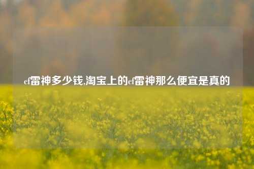 cf雷神多少钱,淘宝上的cf雷神那么便宜是真的