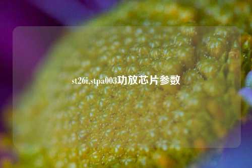 st26i,stpa003功放芯片参数