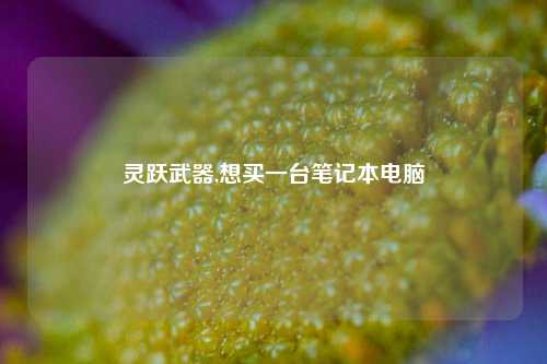 灵跃武器,想买一台笔记本电脑
