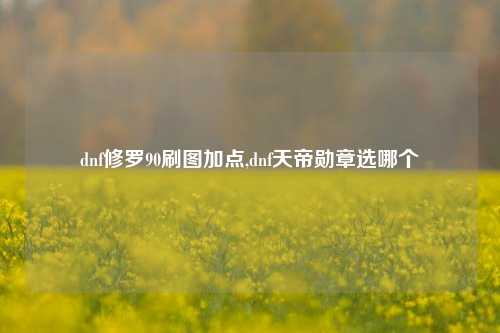 dnf修罗90刷图加点,dnf天帝勋章选哪个