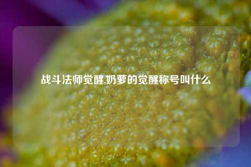 战斗法师觉醒,奶萝的觉醒称号叫什么