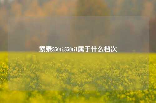 索泰550ti,550ti1属于什么档次