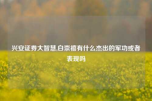 兴安证券大智慧,白崇禧有什么杰出的军功或者表现吗