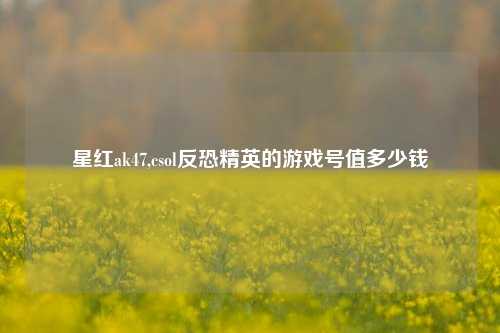 星红ak47,csol反恐精英的游戏号值多少钱