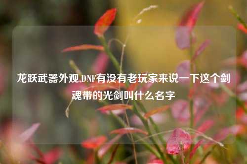 龙跃武器外观,DNF有没有老玩家来说一下这个剑魂带的光剑叫什么名字