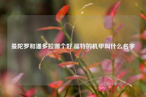 曼陀罗和潘多拉哪个好,福特的机甲叫什么名字