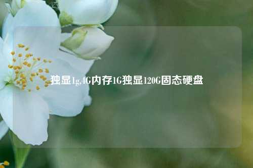 独显1g,4G内存1G独显120G固态硬盘